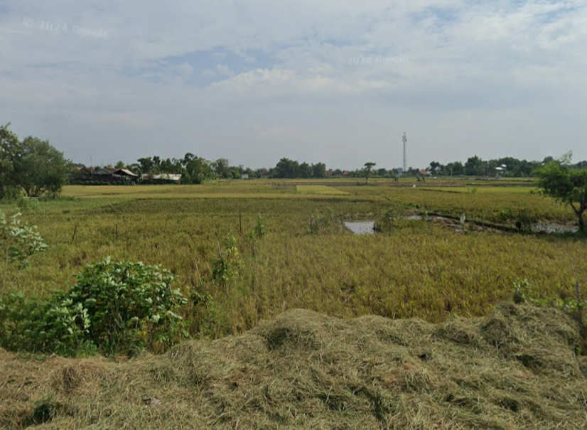 Areal Persawahan dan Perkebunan